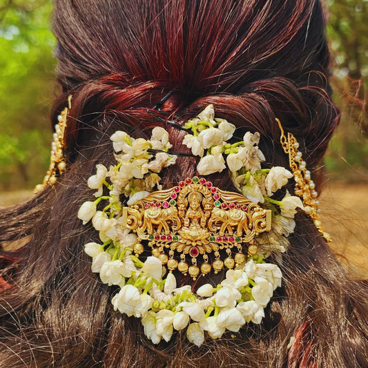 Celestial Charm Hair Clip V-123