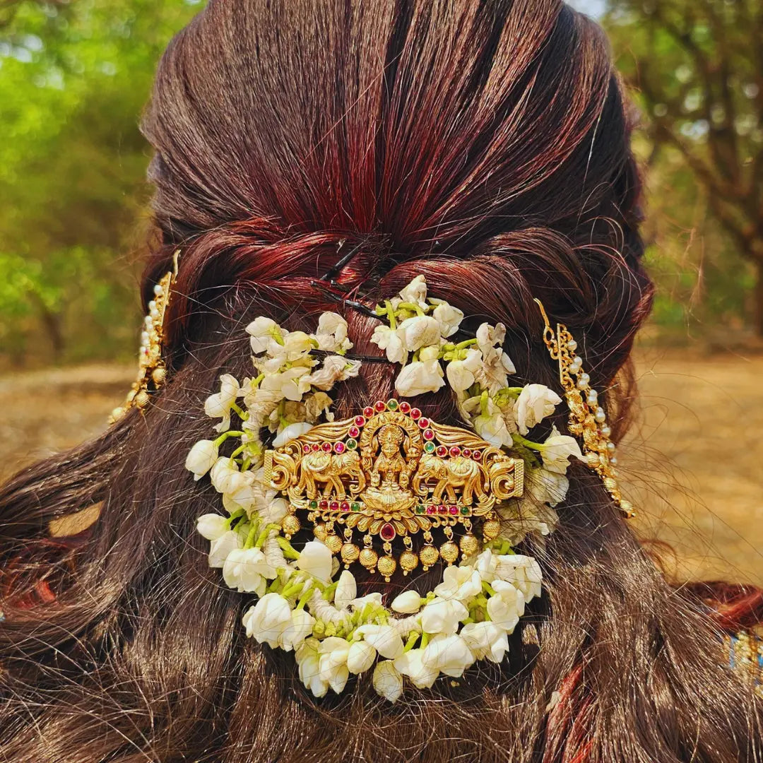 Celestial Charm Hair Clip V-123